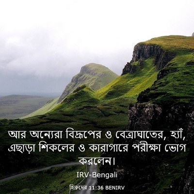Picture 03 - হিব্রুদের 11:36 BENIRV - আর অন্যেরা - Bible Verse Picture
