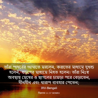 Picture 03 - হিব্রুদের 11:37 BENIRV - তাঁরা পাথরের - Bible Verse Picture