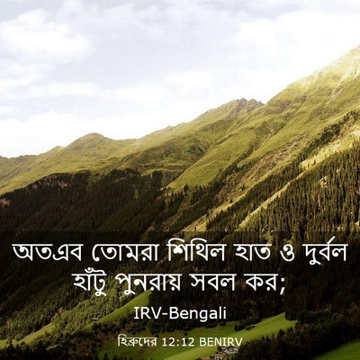 Picture 03 - হিব্রুদের 12:12 BENIRV - অতএব তোমরা শিথিল - Bible Verse Picture