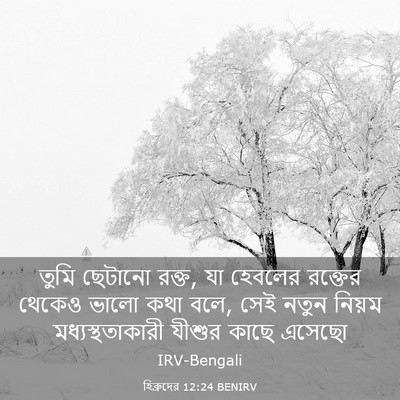 Picture 03 - হিব্রুদের 12:24 BENIRV - তুমি ছেটানো রক্ত, - Bible Verse Picture