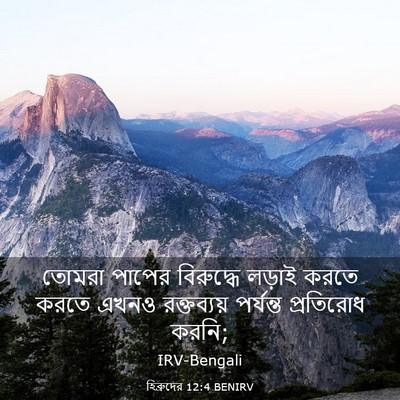 Picture 03 - হিব্রুদের 12:4 BENIRV - তোমরা পাপের - Bible Verse Picture