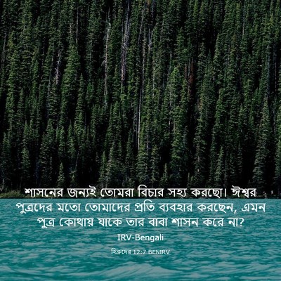 Picture 03 - হিব্রুদের 12:7 BENIRV - শাসনের জন্যই - Bible Verse Picture