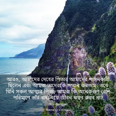 Picture 03 - হিব্রুদের 12:9 BENIRV - আরও, আমাদের দেহের - Bible Verse Picture