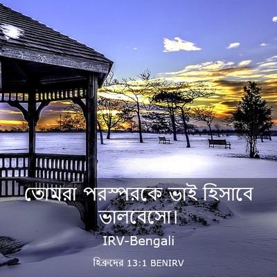 Picture 03 - হিব্রুদের 13:1 BENIRV - তোমরা পরস্পরকে - Bible Verse Picture