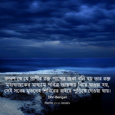 Picture 03 - হিব্রুদের 13:11 BENIRV - কারণ যে যে প্রাণীর - Bible Verse Picture