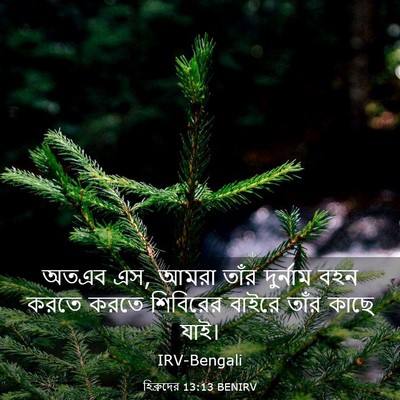 Picture 03 - হিব্রুদের 13:13 BENIRV - অতএব এস, আমরা তাঁর - Bible Verse Picture