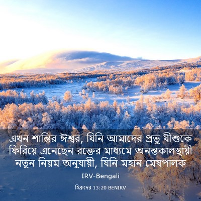 Picture 03 - হিব্রুদের 13:20 BENIRV - এখন শান্তির ঈশ্বর, - Bible Verse Picture