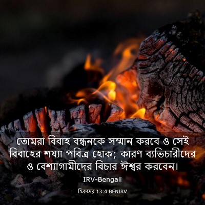Picture 03 - হিব্রুদের 13:4 BENIRV - তোমরা বিবাহ - Bible Verse Picture