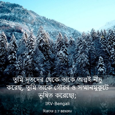Picture 03 - হিব্রুদের 2:7 BENIRV - তুমি দূতদের থেকে - Bible Verse Picture