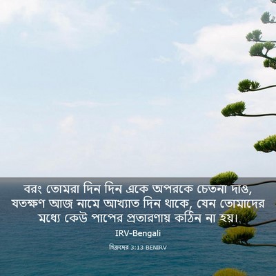 Picture 03 - হিব্রুদের 3:13 BENIRV - বরং তোমরা দিন দিন - Bible Verse Picture