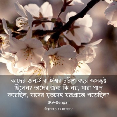 Picture 03 - হিব্রুদের 3:17 BENIRV - কাদের জন্যই বা - Bible Verse Picture