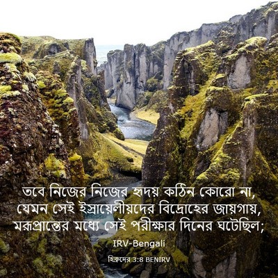 Picture 03 - হিব্রুদের 3:8 BENIRV - তবে নিজের নিজের - Bible Verse Picture