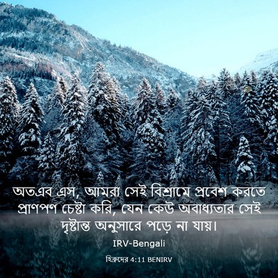 Picture 03 - হিব্রুদের 4:11 BENIRV - অতএব এস, আমরা সেই - Bible Verse Picture