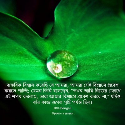 Picture 03 - হিব্রুদের 4:3 BENIRV - বাস্তবিক বিশ্বাস - Bible Verse Picture