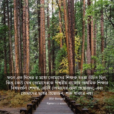 Picture 03 - হিব্রুদের 5:12 BENIRV - ফলে এত দিনের র - Bible Verse Picture
