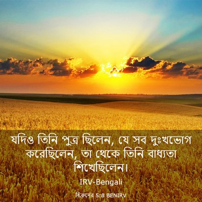 Picture 03 - হিব্রুদের 5:8 BENIRV - যদিও তিনি পুত্র - Bible Verse Picture