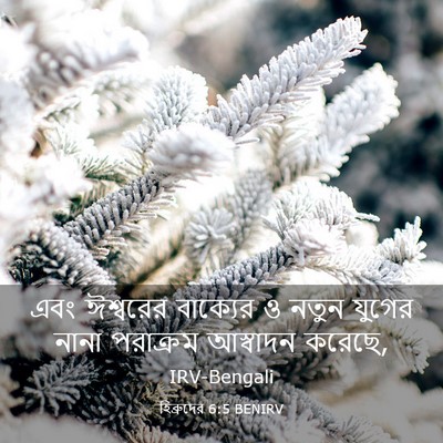 Picture 03 - হিব্রুদের 6:5 BENIRV - এবং ঈশ্বরের - Bible Verse Picture