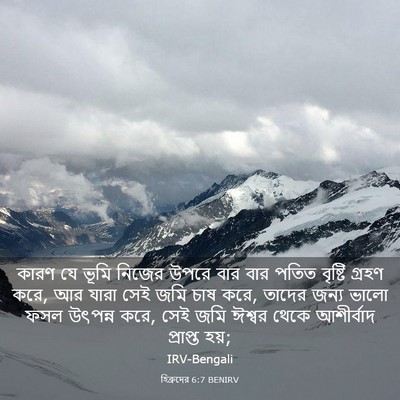 Picture 03 - হিব্রুদের 6:7 BENIRV - কারণ যে ভূমি নিজের - Bible Verse Picture