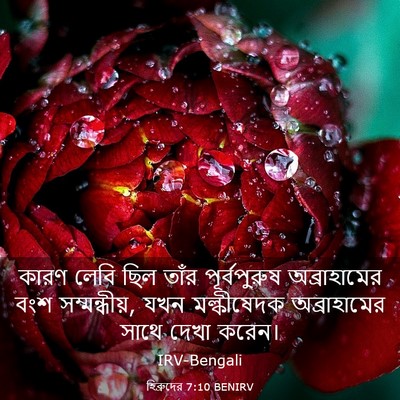Picture 03 - হিব্রুদের 7:10 BENIRV - কারণ লেবি ছিল তাঁর - Bible Verse Picture