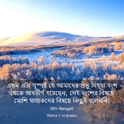 Picture 03 - হিব্রুদের 7:14 BENIRV - এখন এটা সুস্পষ্ট - Bible Verse Picture