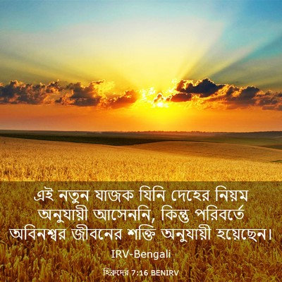 Picture 03 - হিব্রুদের 7:16 BENIRV - এই নতুন যাজক যিনি - Bible Verse Picture