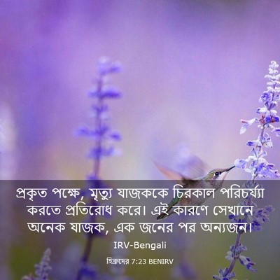 Picture 03 - হিব্রুদের 7:23 BENIRV - প্রকৃত পক্ষে, - Bible Verse Picture