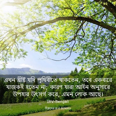 Picture 03 - হিব্রুদের 8:4 BENIRV - এখন খ্রীষ্ট যদি - Bible Verse Picture