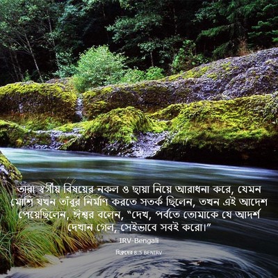 Picture 03 - হিব্রুদের 8:5 BENIRV - তারা স্বর্গীয় - Bible Verse Picture