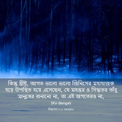 Picture 03 - হিব্রুদের 9:11 BENIRV - কিন্তু খ্রীষ্ট, - Bible Verse Picture