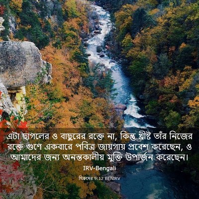 Picture 03 - হিব্রুদের 9:12 BENIRV - এটা ছাগলের ও - Bible Verse Picture