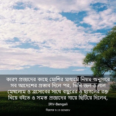 Picture 03 - হিব্রুদের 9:19 BENIRV - কারণ প্রজাদের - Bible Verse Picture