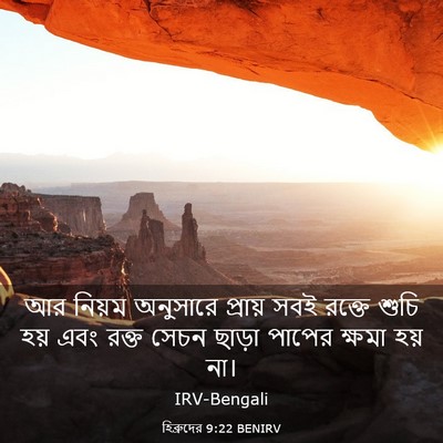 Picture 03 - হিব্রুদের 9:22 BENIRV - আর নিয়ম অনুসারে - Bible Verse Picture