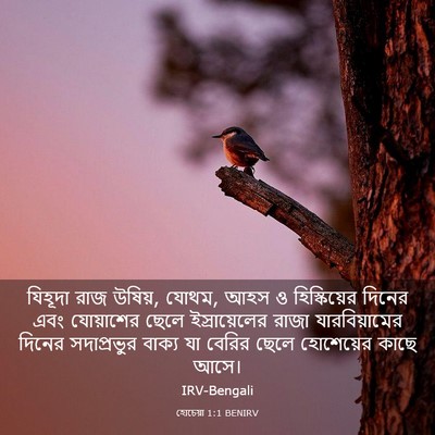 Picture 03 - হোচেয়া 1:1 BENIRV - যিহূদা রাজ উষিয়, - Bible Verse Picture