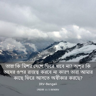 Picture 03 - হোচেয়া 11:5 BENIRV - তারা কি মিশর দেশে - Bible Verse Picture