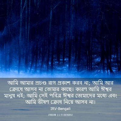 Picture 03 - হোচেয়া 11:9 BENIRV - আমি আমার প্রচণ্ড - Bible Verse Picture