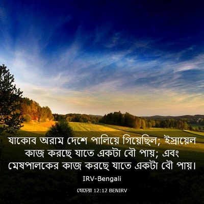 Picture 03 - হোচেয়া 12:12 BENIRV - যাকোব অরাম দেশে - Bible Verse Picture