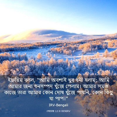 Picture 03 - হোচেয়া 12:8 BENIRV - ইফ্রয়িম বলল, “আমি - Bible Verse Picture