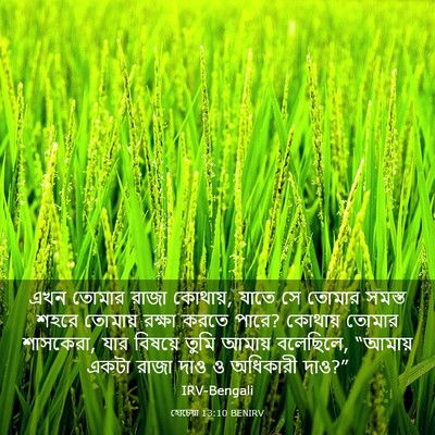 Picture 03 - হোচেয়া 13:10 BENIRV - এখন তোমার রাজা - Bible Verse Picture