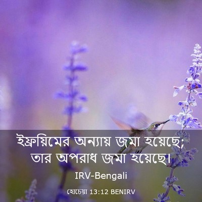 Picture 03 - হোচেয়া 13:12 BENIRV - ইফ্রয়িমের - Bible Verse Picture