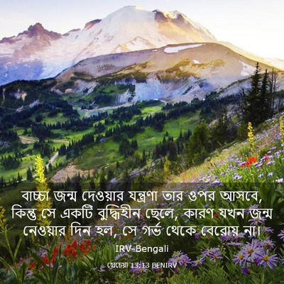 Picture 03 - হোচেয়া 13:13 BENIRV - বাচ্চা জন্ম - Bible Verse Picture