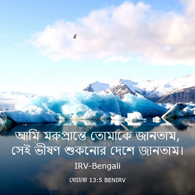 Picture 03 - হোচেয়া 13:5 BENIRV - আমি মরুপ্রান্তে - Bible Verse Picture