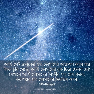 Picture 03 - হোচেয়া 13:8 BENIRV - আমি সেই ভালুকের মত - Bible Verse Picture
