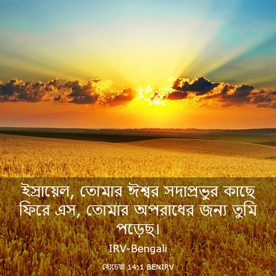 Picture 03 - হোচেয়া 14:1 BENIRV - ইস্রায়েল, তোমার - Bible Verse Picture