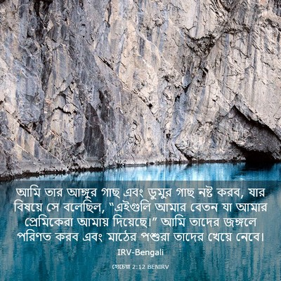 Picture 03 - হোচেয়া 2:12 BENIRV - আমি তার আঙ্গুর গাছ - Bible Verse Picture