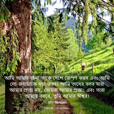Picture 03 - হোচেয়া 2:23 BENIRV - আমি আমার জন্য তাকে - Bible Verse Picture