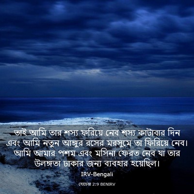 Picture 03 - হোচেয়া 2:9 BENIRV - তাই আমি তার শস্য - Bible Verse Picture
