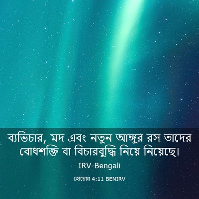 Picture 03 - হোচেয়া 4:11 BENIRV - ব্যভিচার, মদ এবং - Bible Verse Picture