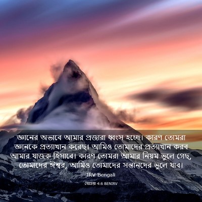 Picture 03 - হোচেয়া 4:6 BENIRV - জ্ঞানের অভাবে - Bible Verse Picture