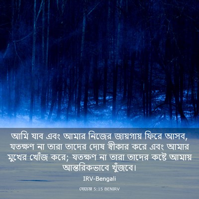 Picture 03 - হোচেয়া 5:15 BENIRV - আমি যাব এবং আমার - Bible Verse Picture