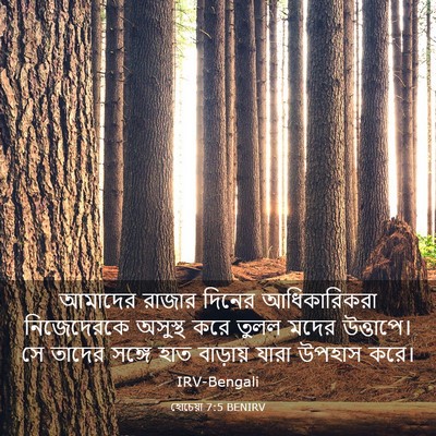 Picture 03 - হোচেয়া 7:5 BENIRV - আমাদের রাজার - Bible Verse Picture
